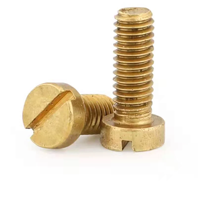 SS Slotted Cheese Head Machine Screw - Metric Std